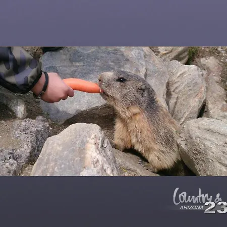 Apartamento Arizona 23 25+ Adults Only