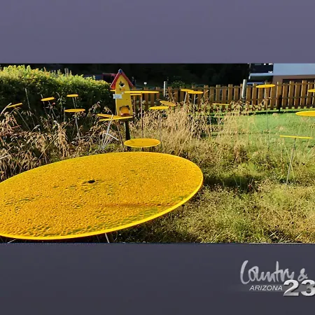 Arizona 23 25+ Adults Only Saas Fee